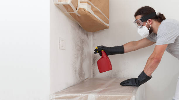 Professional Crawl Space Mold Removal technician working in Long Beach, MD