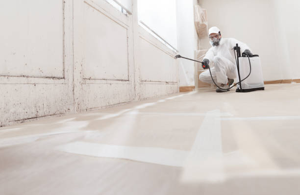 24/7 Emergency Crawl Space Mold Removal experts in Long Beach, MD